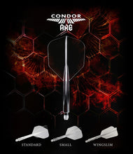 Load image into Gallery viewer, Flight